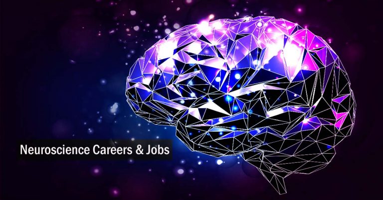 Careers and Jobs in Neuroscience