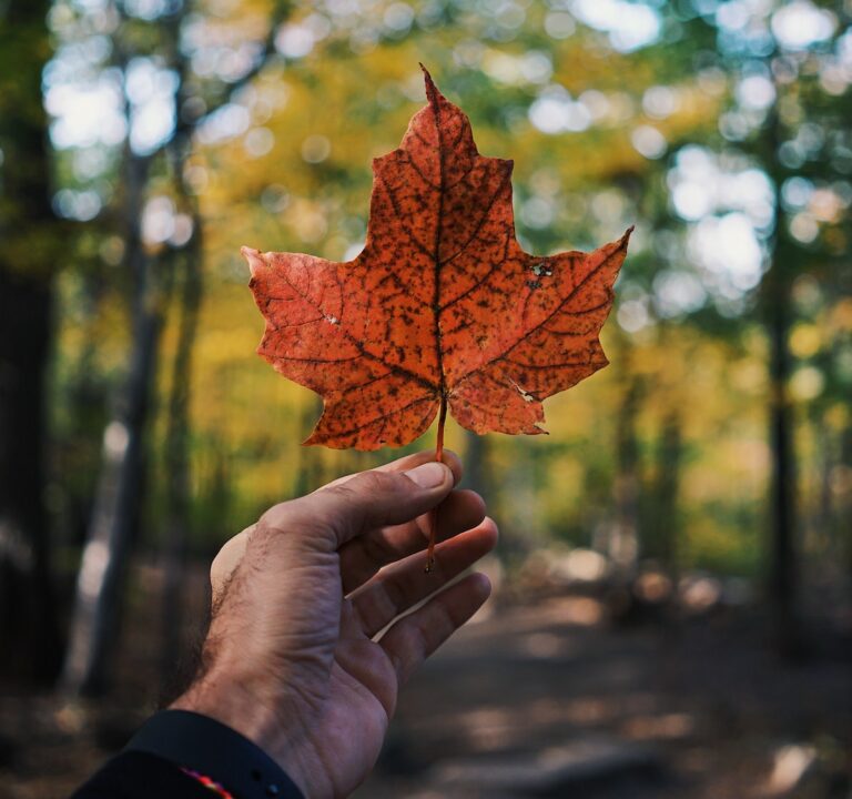 How to Immigrate to Canada depending on your age